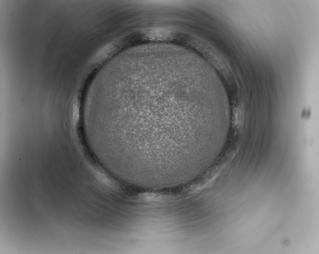 X0000103320733200809192140