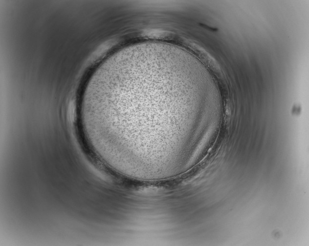 X0000103320734200809192140