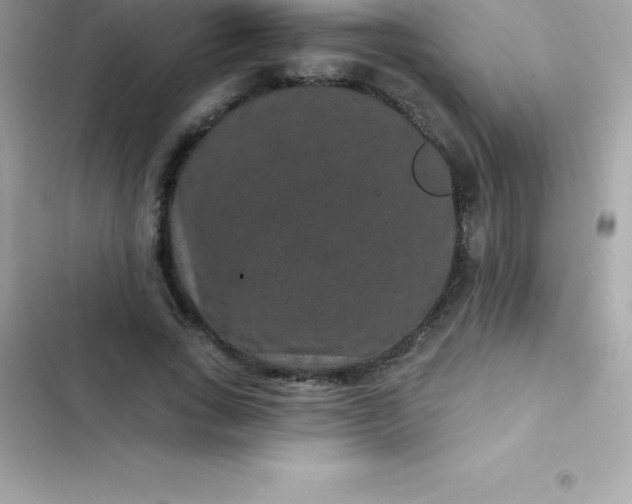 X0000103320735200809192140