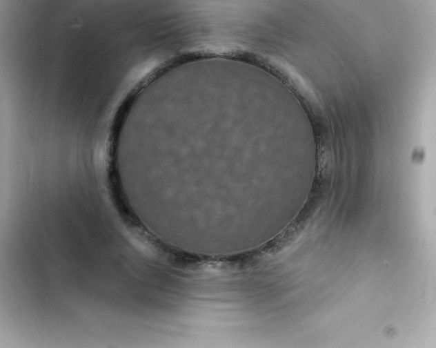 X0000103320736200809192140