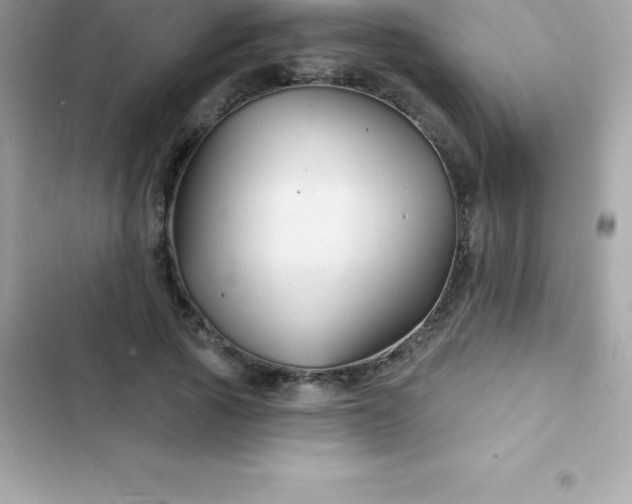 X0000103320737200809192140