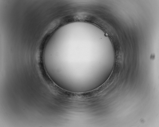 X0000103320738200809192140