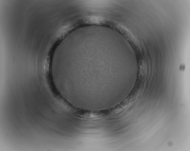 X0000103320739200809192140