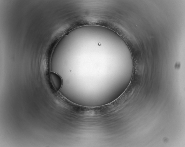 X0000103320740200809192140