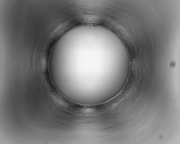 X0000103320741200809192140