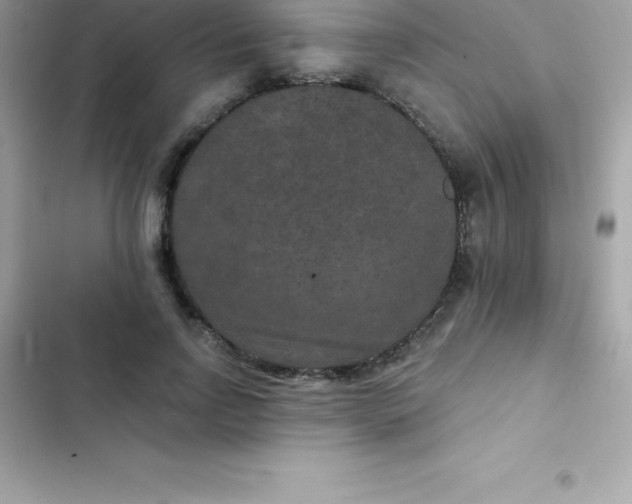 X0000103320742200809192140