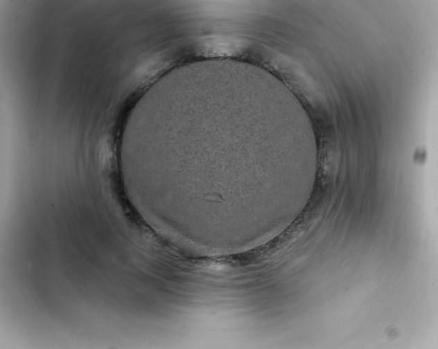 X0000103320743200809192140