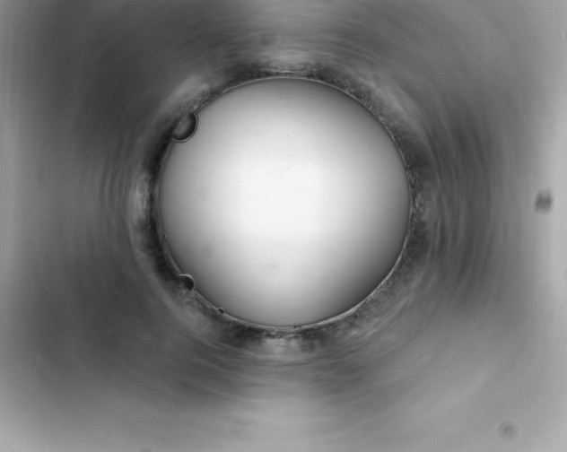 X0000103320744200809192140