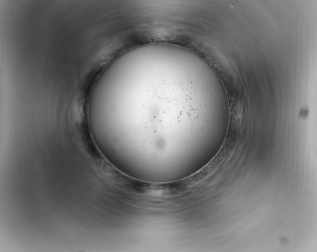 X0000103320746200809192140