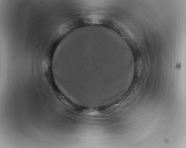 X0000103320747200809192140