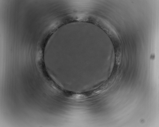 X0000103320748200809192140