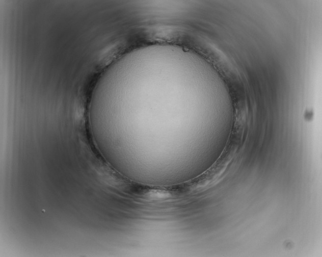 X0000103320749200809192140