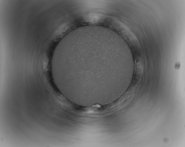 X0000103320750200809192140