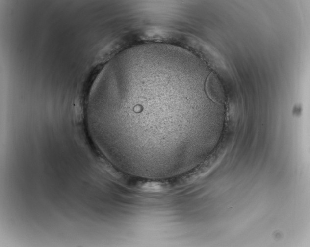 X0000103320751200809192140