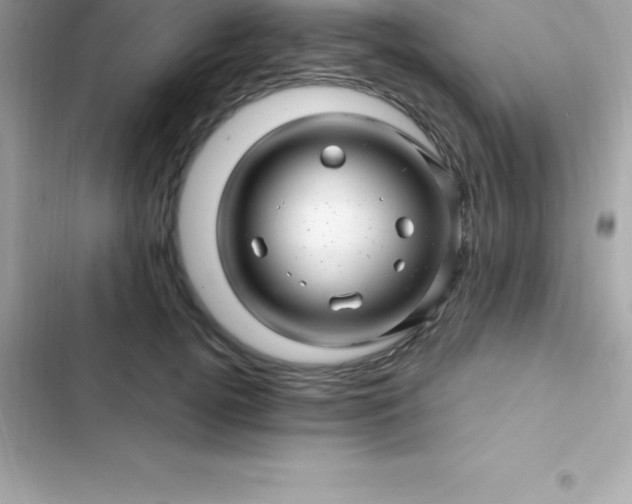 X0000103320752200809192140