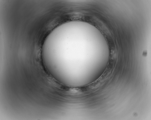 X0000103320753200809192140