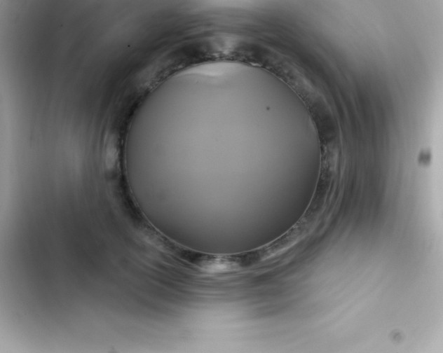 X0000103320754200809192140