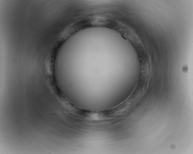 X0000103320755200809192140