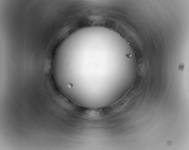 X0000103320756200809192140