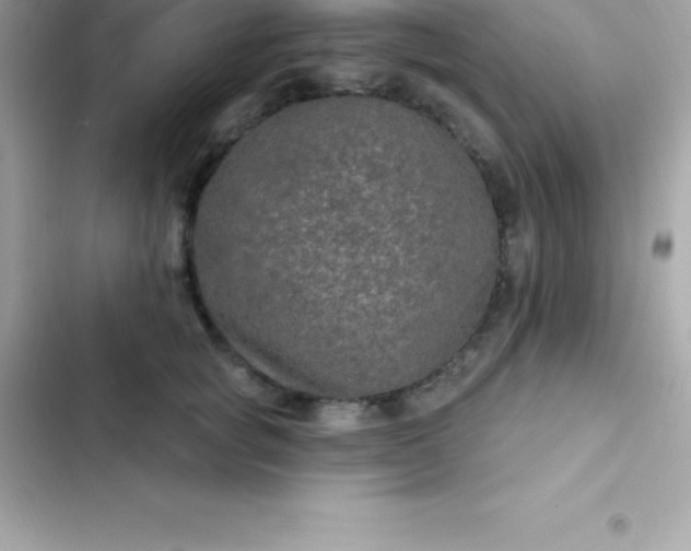 X0000103320757200809192140