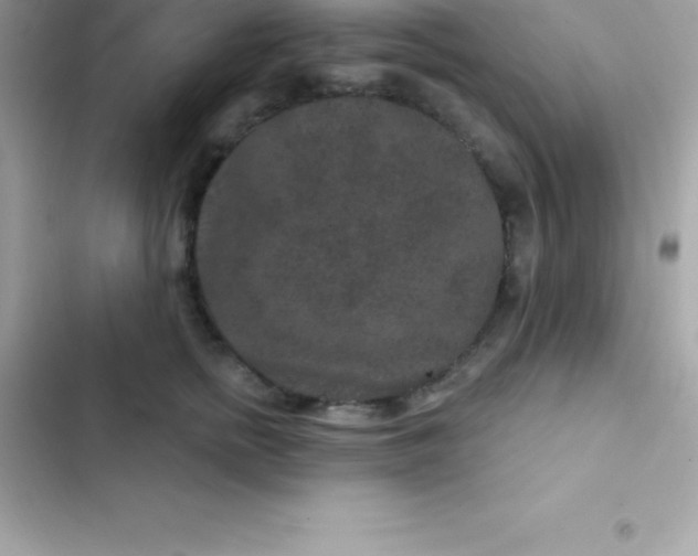 X0000103320758200809192140