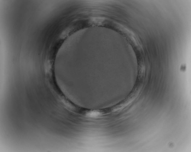 X0000103320759200809192140