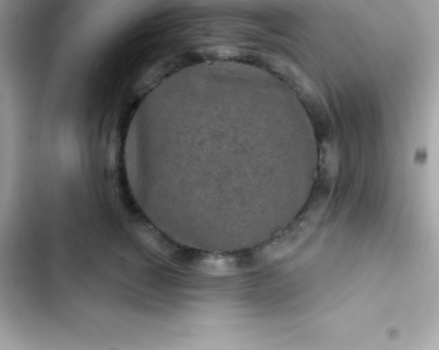 X0000103320760200809192140