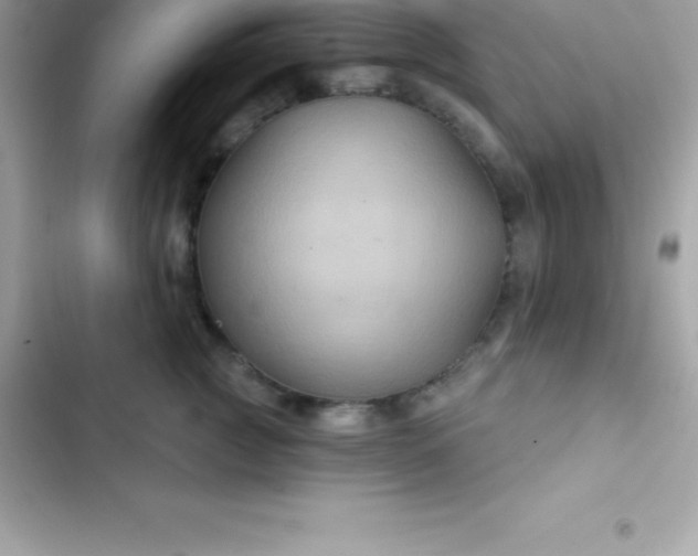 X0000103320761200809192140