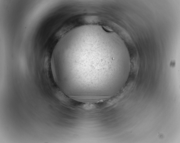 X0000103320762200809192140