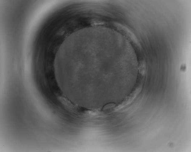 X0000103320763200809192140