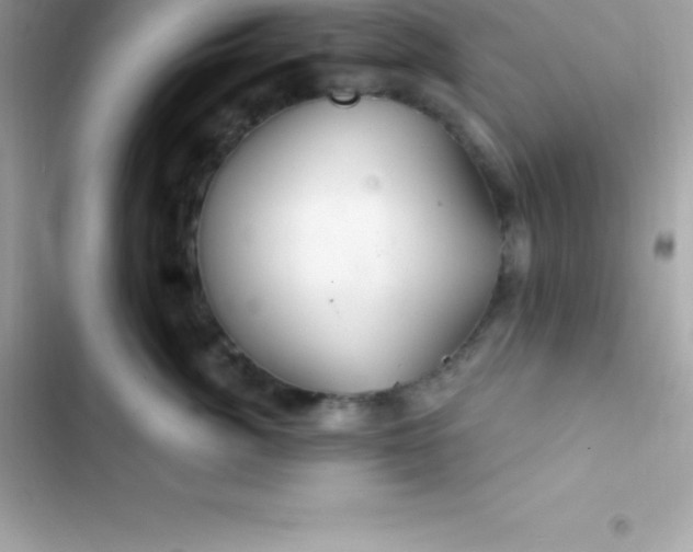 X0000103320764200809192140