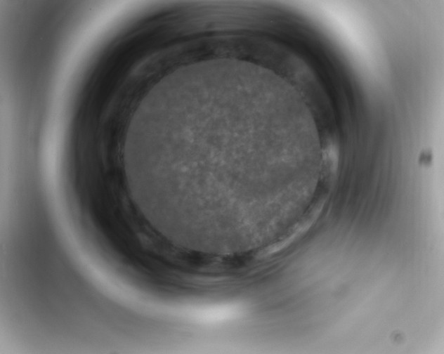 X0000103320765200809192140