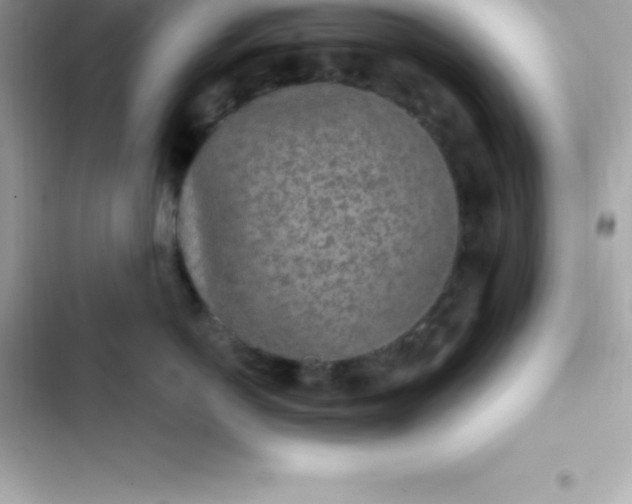 X0000103320766200809192140