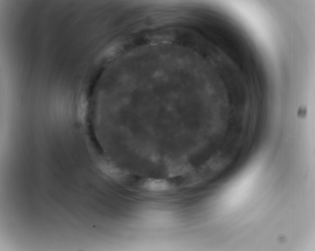 X0000103320767200809192140