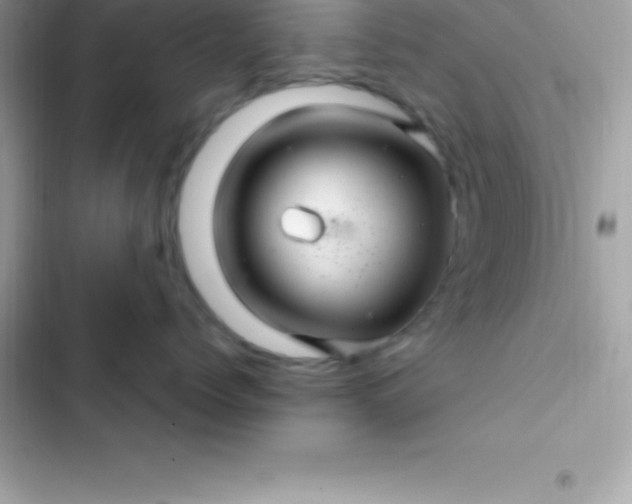 X0000103320768200809192140