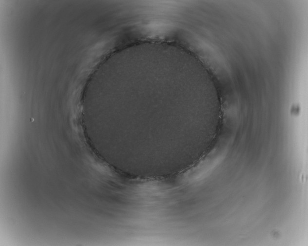 X0000103320769200809192139