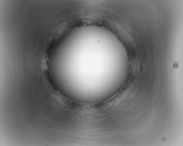 X0000103320770200809192139