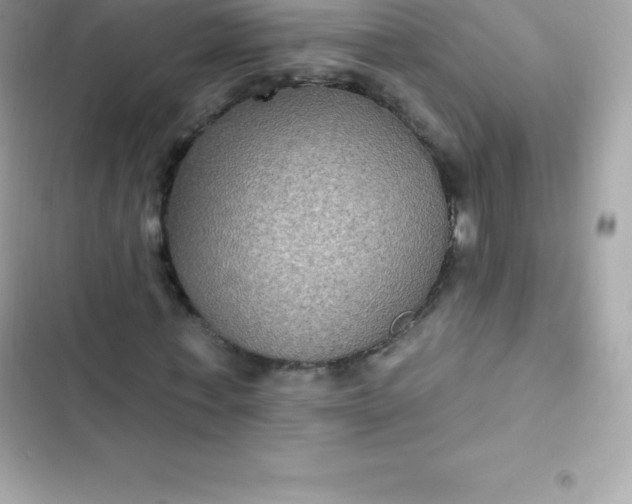 X0000103320771200809192139