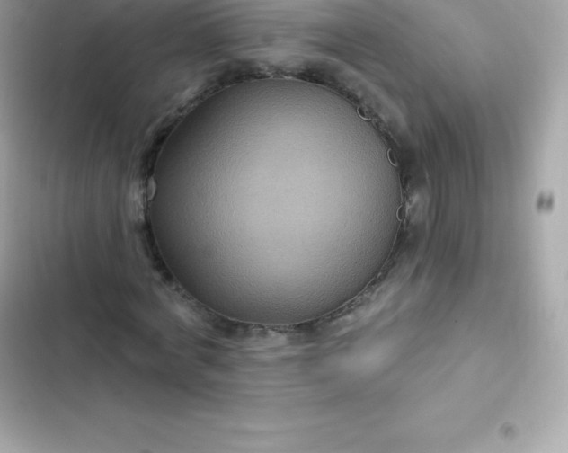 X0000103320772200809192139