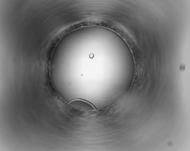 X0000103320773200809192139