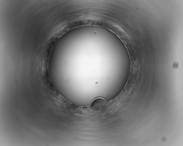 X0000103320774200809192139