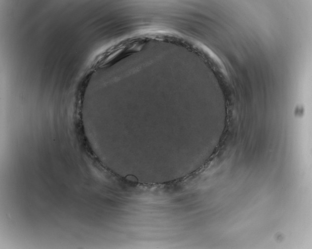 X0000103320775200809192139