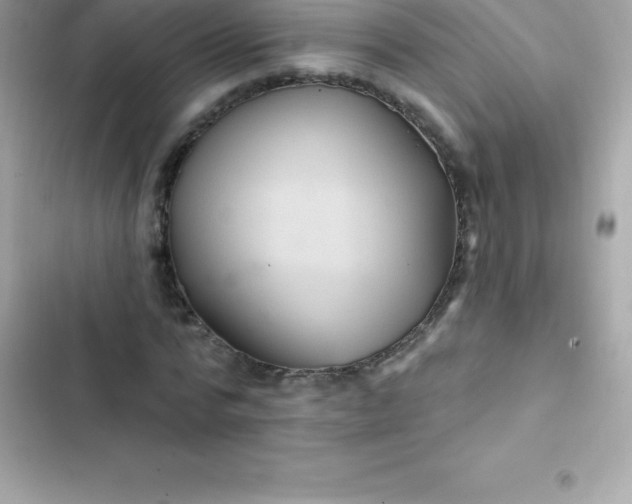 X0000103320776200809192139