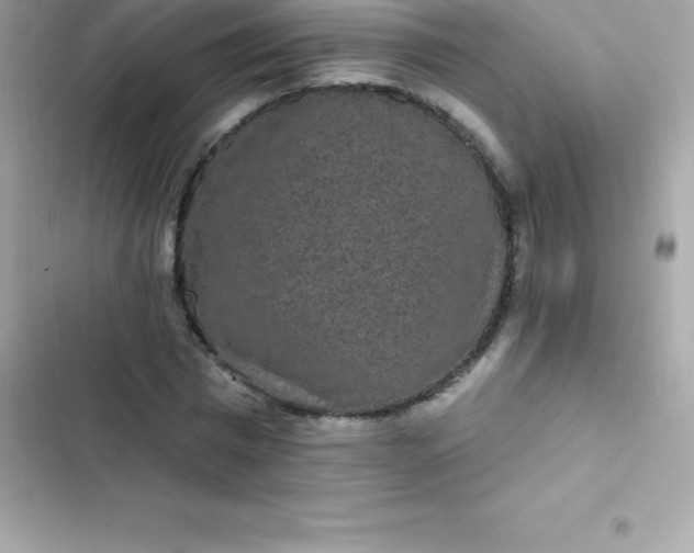 X0000103320777200809192139