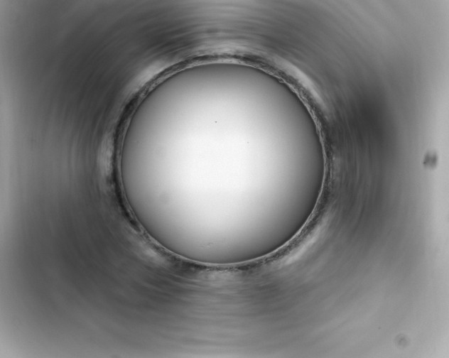 X0000103320778200809192139