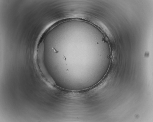 X0000103320780200809192139