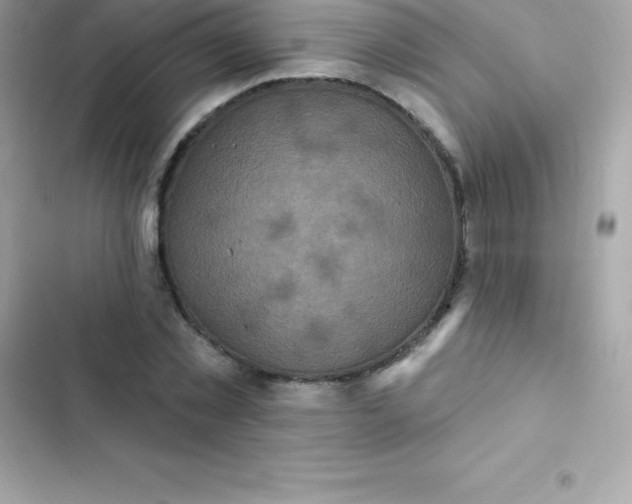 X0000103320781200809192139