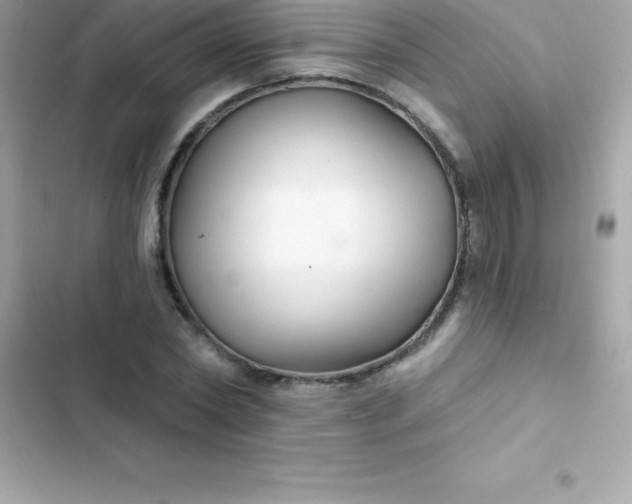 X0000103320782200809192139