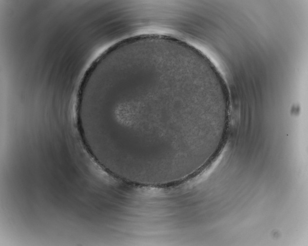 X0000103320783200809192139