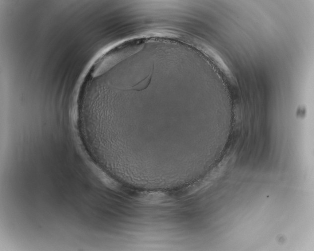 X0000103320784200809192139